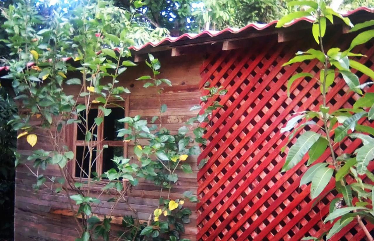 Soul Fire Casitas Hotel Монтесума Екстериор снимка